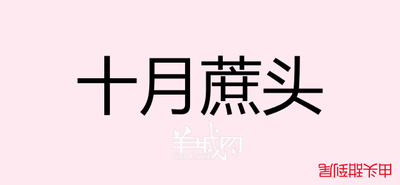 粤语问答比赛下半场，你够唔够生鬼幽默？！