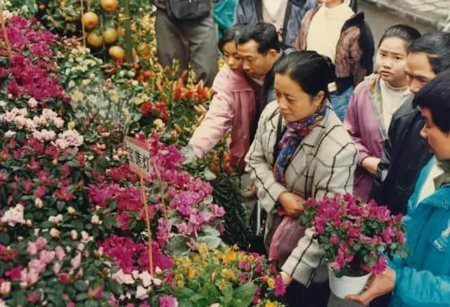 点解广州人过年唔钟意睇春晚？因为我哋钟意行花街咯！