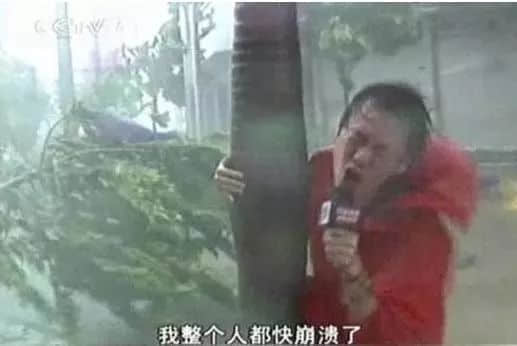 广州人：穷我都未惊过，我会惊台风+暴雨？