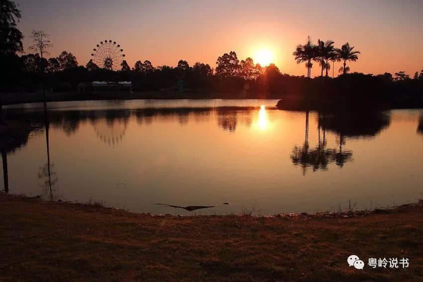 漫步南沙，所到之处都是风景