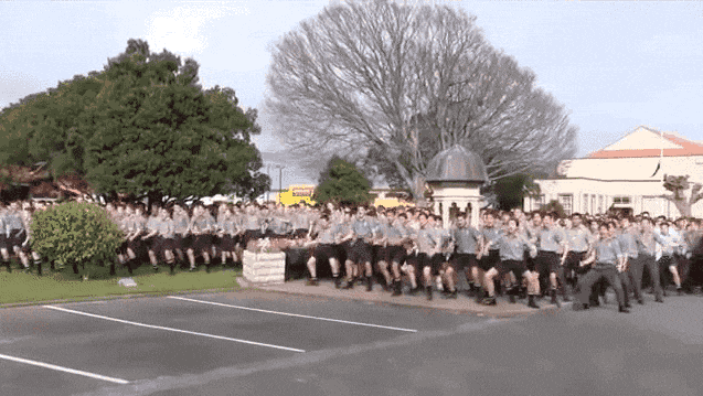 新西兰的毛利战舞为何会令人血脉沸腾？