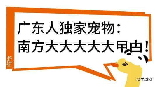 广州，一座靠天气上热搜嘅佛系城市｜一句话神总结广州