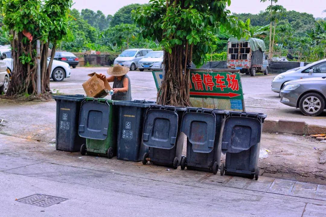 我们走上街头，体验了一下广州的垃圾分类