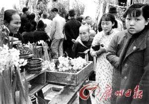 即使日军兵临城下，也不能阻挡广州人买花买年桔！