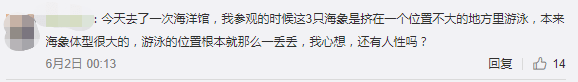 继“最悲伤北极熊”后，正佳海洋世界又现“海象行商场”？