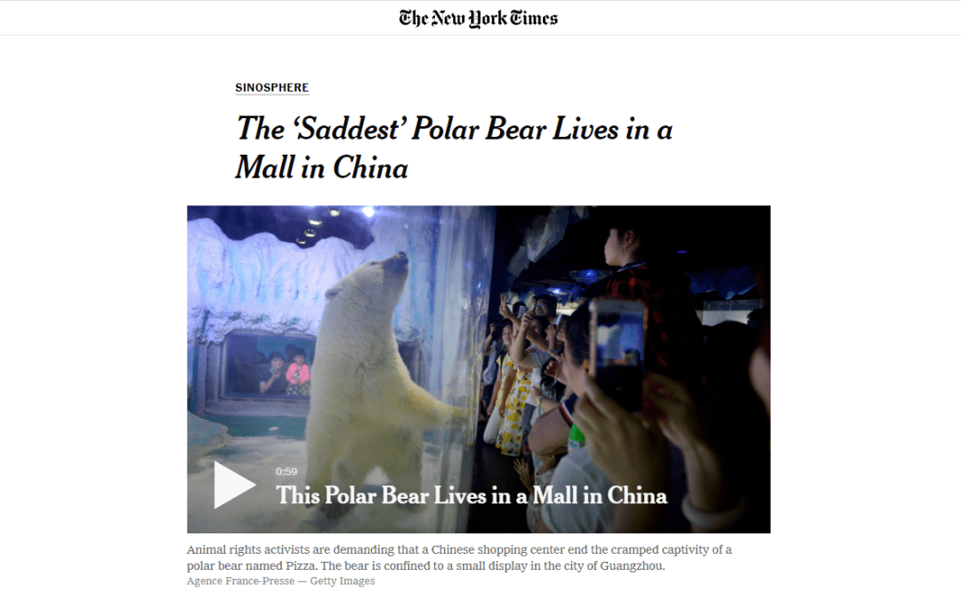 继“最悲伤北极熊”后，正佳海洋世界又现“海象行商场”？