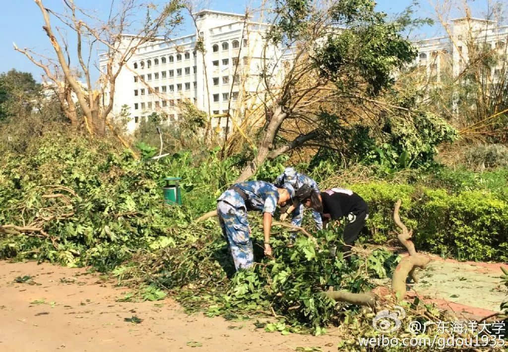 在湛江，我们找回广州失去的隐秘角落