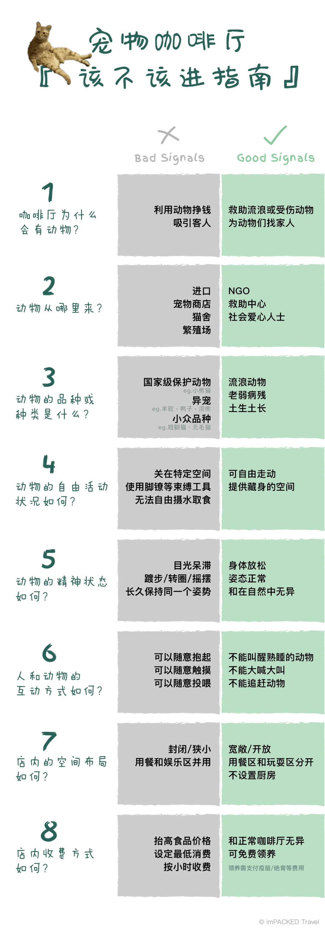 在广州享受着997福报的阿猫阿狗：治愈还是致郁？