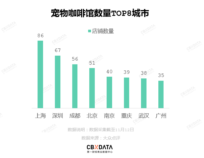 在广州享受着997福报的阿猫阿狗：治愈还是致郁？