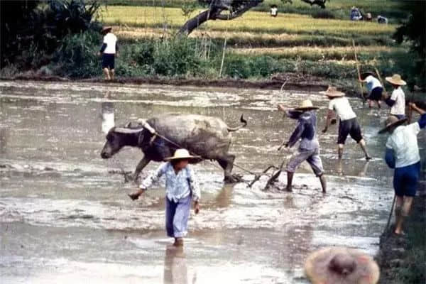 广州记忆（1978-1979）