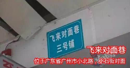 佛山新机场或命名为“珠西机场”？边个起名咁“猪閪”！