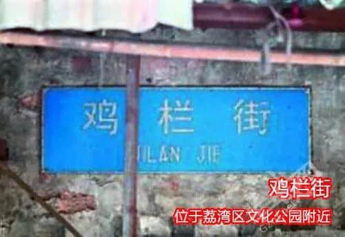 佛山新机场或命名为“珠西机场”？边个起名咁“猪閪”！