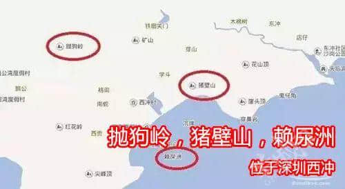 佛山新机场或命名为“珠西机场”？边个起名咁“猪閪”！