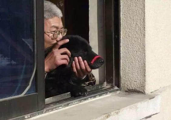 人类,还返啲“尊严”畀我! 人类,还返啲“尊严”畀我!