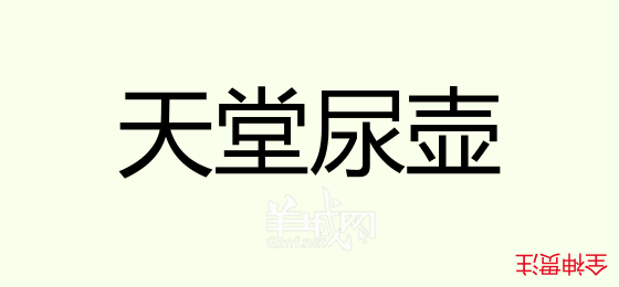 粤语问答比赛下半场，你够唔够生鬼幽默？！