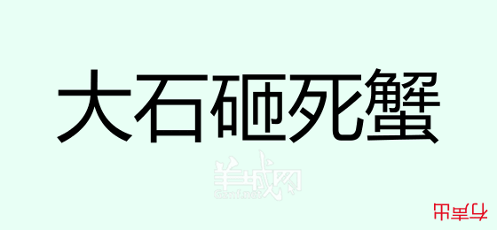 粤语问答比赛下半场，你够唔够生鬼幽默？！