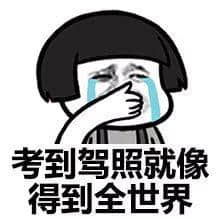 每个德艺双馨嘅老司机,都有一段催人泪下嘅契弟时光 每个德艺双馨嘅老司机,都有一段催人泪下嘅契弟时光