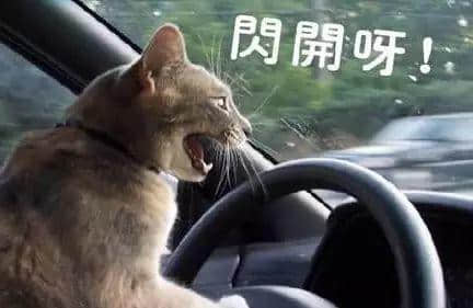每个德艺双馨嘅老司机,都有一段催人泪下嘅契弟时光 每个德艺双馨嘅老司机,都有一段催人泪下嘅契弟时光