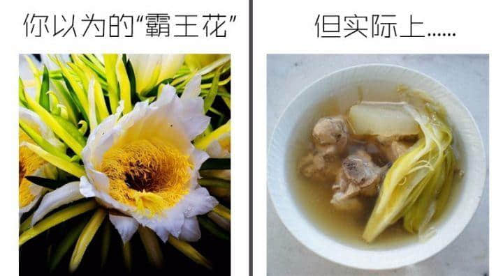 外地人如何假装地道广州人? 外地人如何假装地道广州人?
