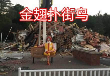 再见麦当劳,你好金拱门! 再见麦当劳,你好金拱门!