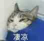 结婚要车又要楼，你嫁车定嫁楼？