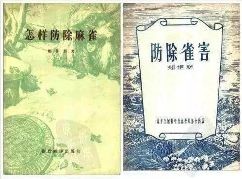 粤闻悦说：百万雄师打麻雀