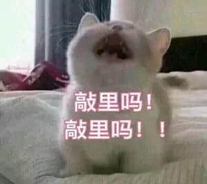 吓到全网男人寻晚通宵换头像 吓到全网男人寻晚通宵换头像