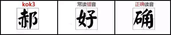 郝海东你都读错，仲好意思日日嗌“好嗨冻”？