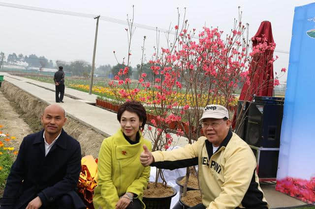离广佛最近的高山花海,情人节男朋友不带你去就分手吧 离广佛最近的高山花海,情人节男朋友不带你去就分手吧