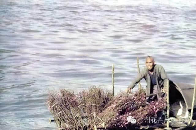 点解广州人过年唔钟意睇春晚？因为我哋钟意行花街咯！