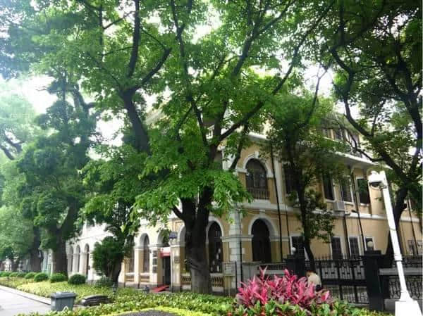 广州人嘅情怀:我哋榕树头见! 广州人嘅情怀:我哋榕树头见!