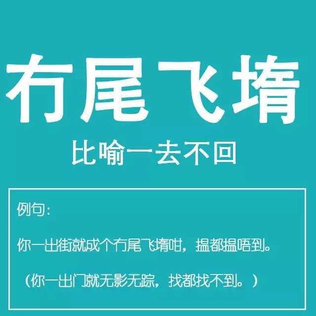 粤语金句多多声，唔使问阿贵你识知道嘅！