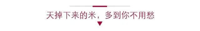 唔系我吹水，粤语真系好巴闭！系巴屎闭！
