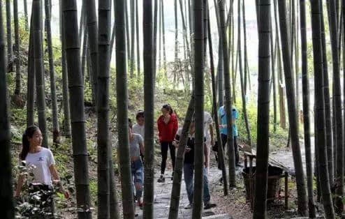 卖完空气出刻字林,广东清远骑呢景区仲有乜做唔到? 卖完空气出刻字林,广东清远骑呢景区仲有乜做唔到?