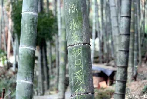 卖完空气出刻字林,广东清远骑呢景区仲有乜做唔到? 卖完空气出刻字林,广东清远骑呢景区仲有乜做唔到?