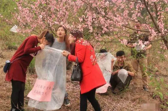 卖完空气出刻字林,广东清远骑呢景区仲有乜做唔到? 卖完空气出刻字林,广东清远骑呢景区仲有乜做唔到?