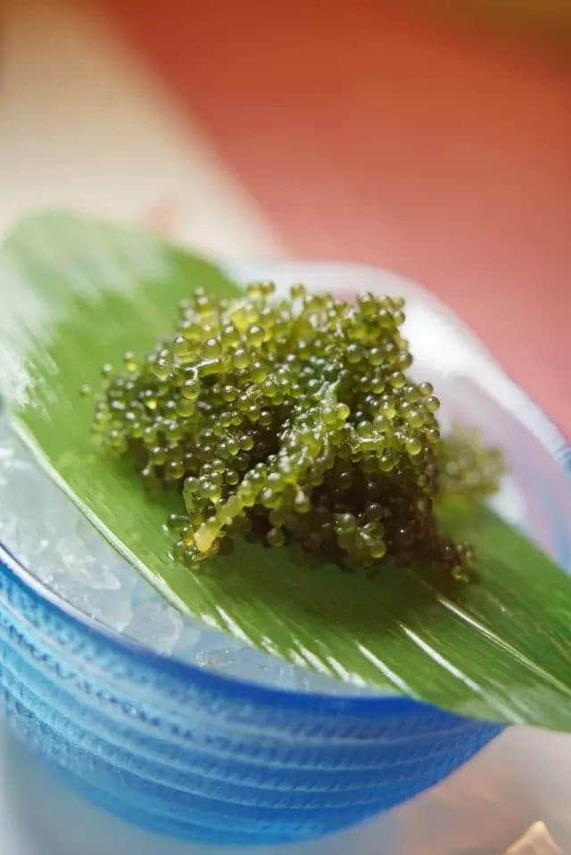 今日究竟系边个生日?大家都要畀足面佢? 今日究竟系边个生日?大家都要畀足面佢?