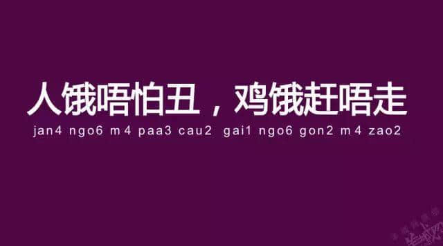 广州老司机带路，令你行少几条弯路