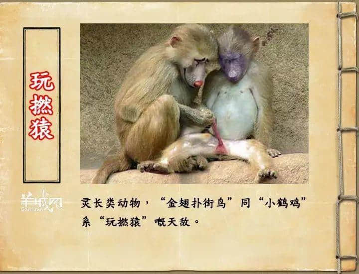 如果JK罗琳系广州人，《神奇动物在哪里》至少出7集！