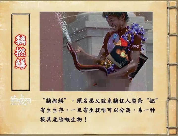 如果JK罗琳系广州人，《神奇动物在哪里》至少出7集！