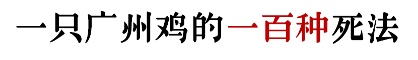 没有一只鸡能活着走出广州 没有一只鸡能活着走出广州