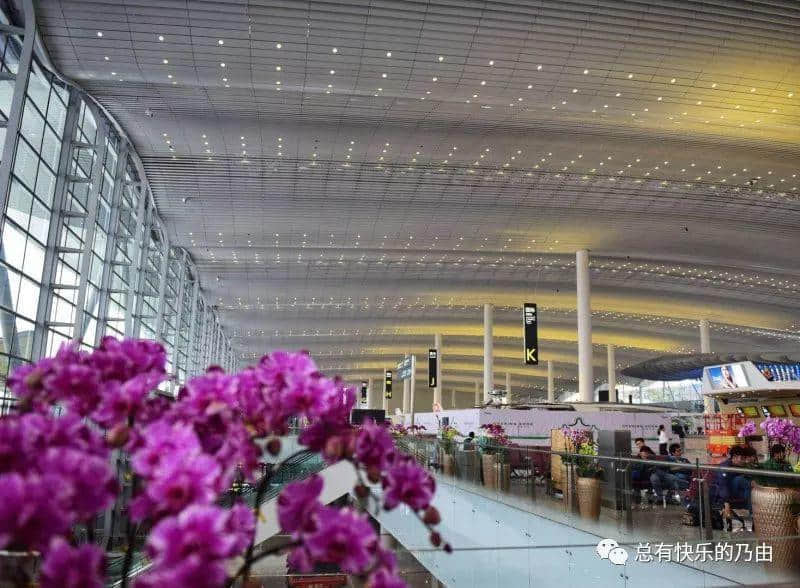 白云机场T2航站楼探营多图多图多图|美图美图美图 白云机场T2航站楼探营多图多图多图|美图美图美图