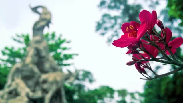 广州西郊泳场设“女性泳道”惹争议，系女性权益or形式主义？