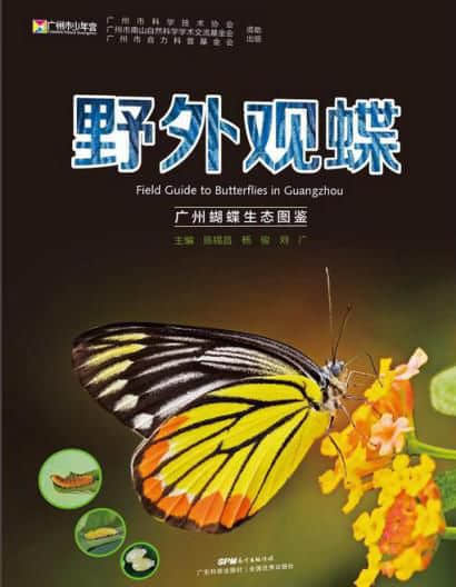 这个六一,用“十本好书”给孩子点亮快乐童年…… 这个六一,用“十本好书”给孩子点亮快乐童年……
