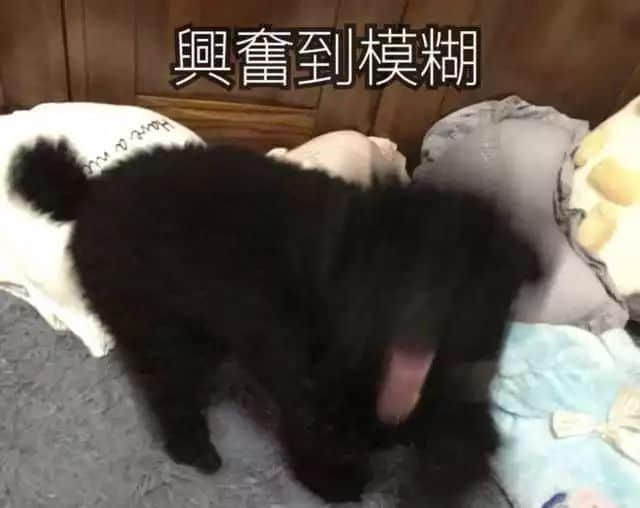 @米其林指南，你嚟广州点解唔搵我哋帮你写文案？