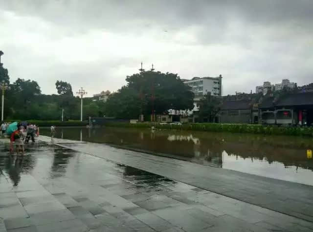 我们实名要求将今日定为“广州海洋日”