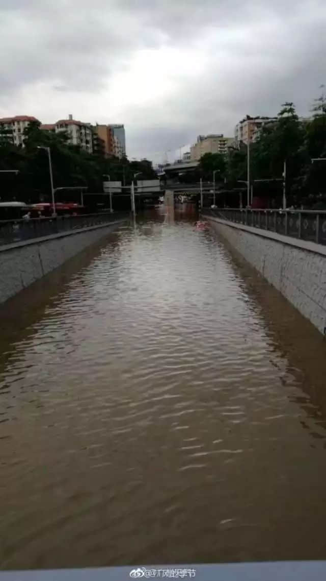 我们实名要求将今日定为“广州海洋日”