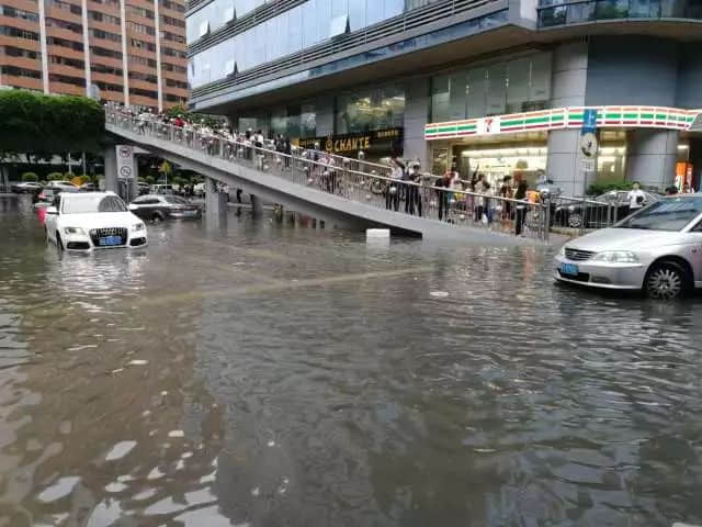 我们实名要求将今日定为“广州海洋日”