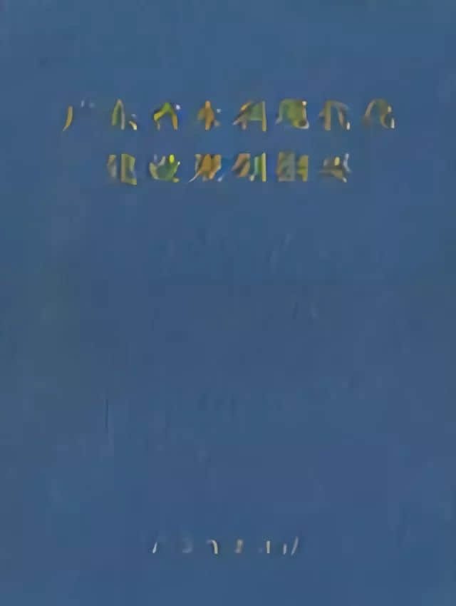 2002年公布的《广东省水利现代化建设规划纲要》 / 图自网络