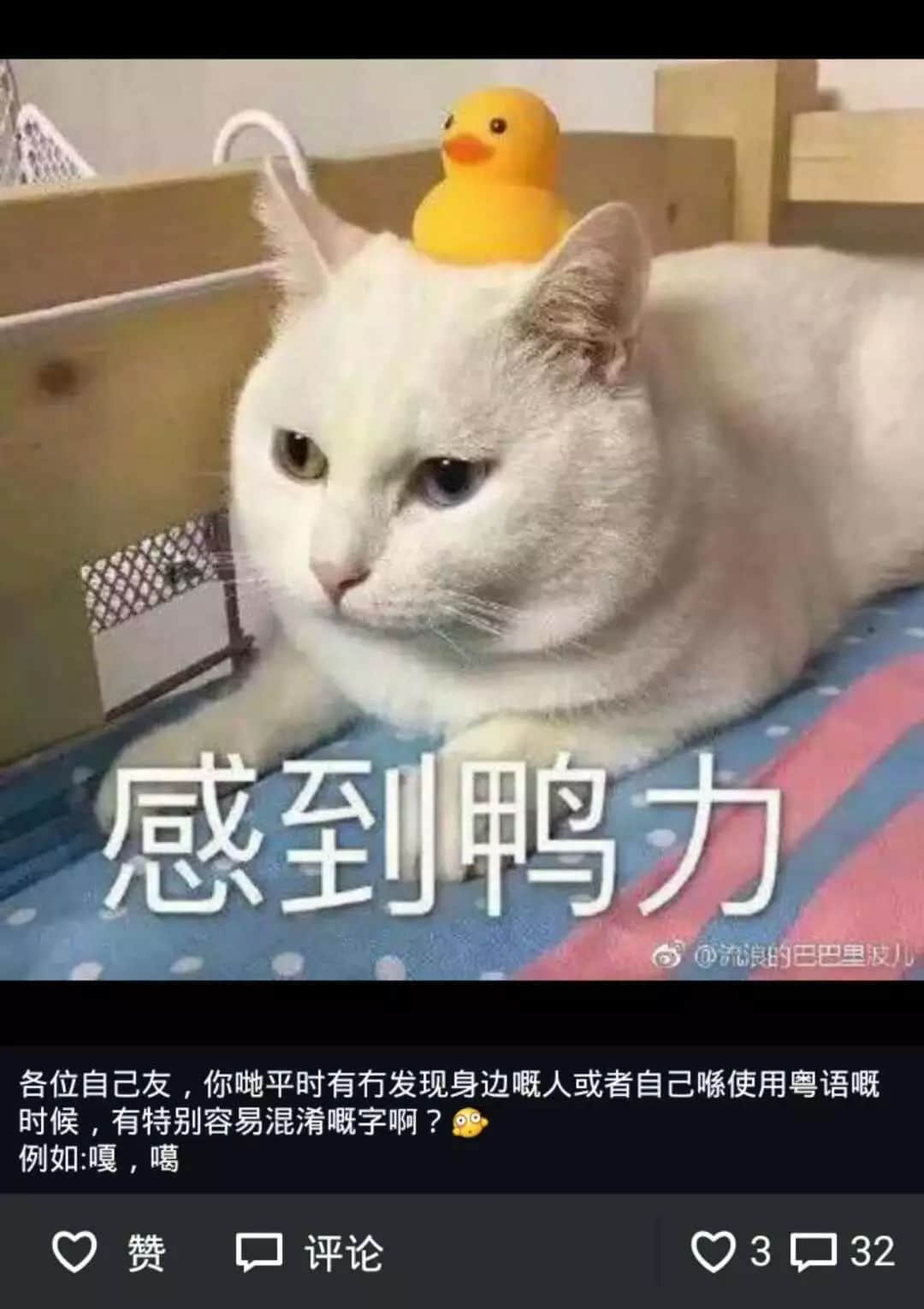 我成日讲粤语，更想写啱粤语！